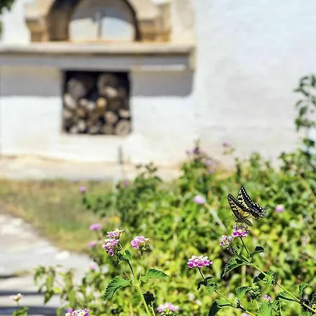 Oceanides Διαμέρισμα